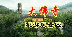 大鸡巴插穴爽中国浙江-新昌大佛寺旅游风景区